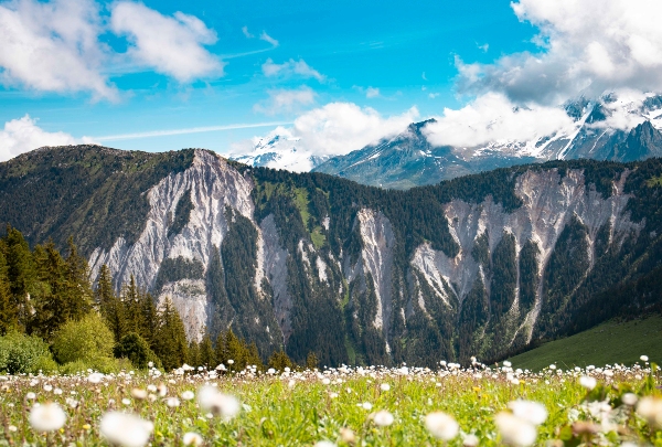 Avui, el veritable luxe és la Terra